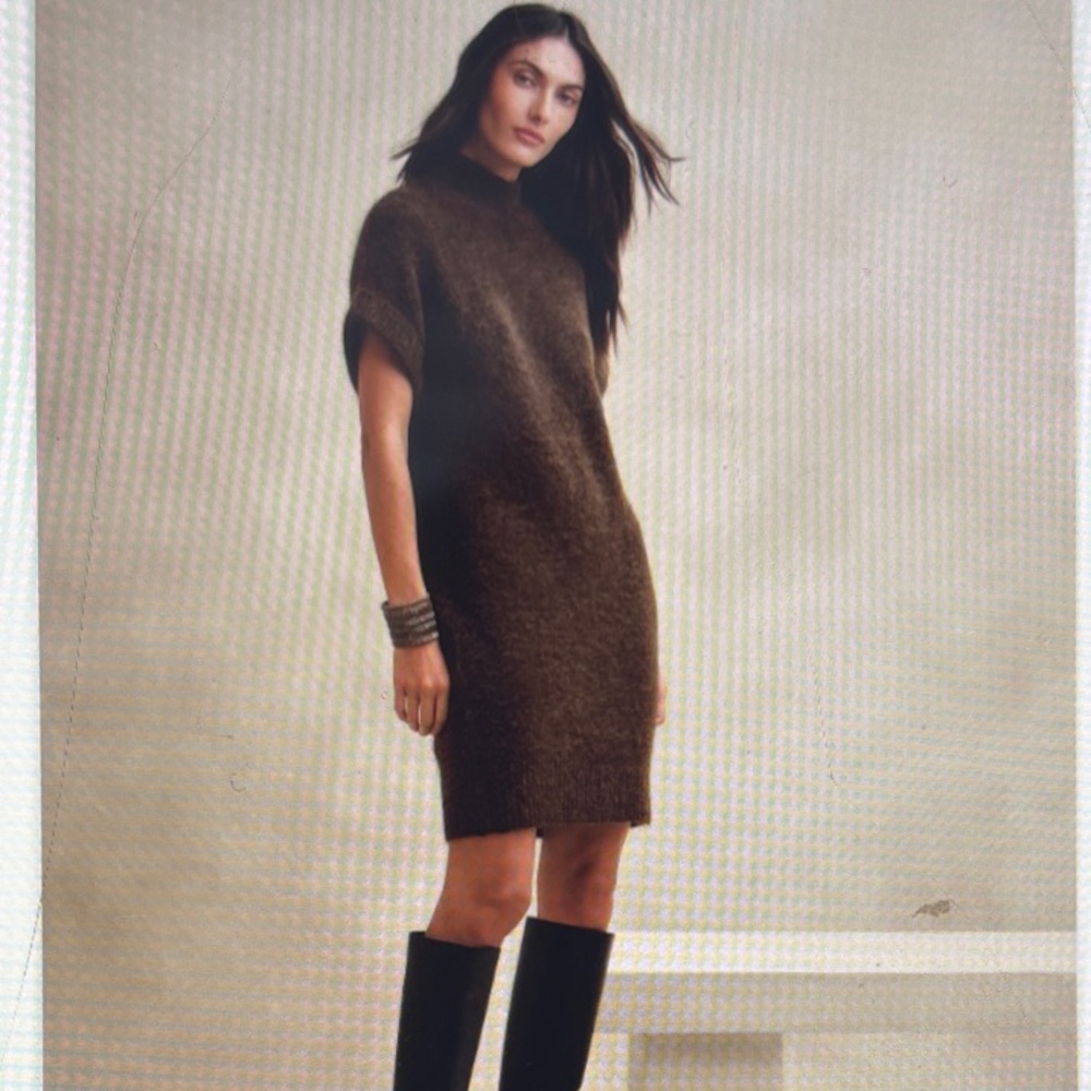 Banana Republic Brown Knit Dress